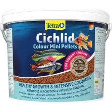 Meks Tetra Yem Cichlid Color Mini 10 Litre