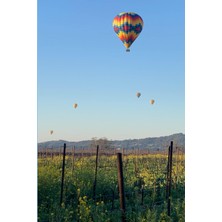 Meks Independently Published The Wellness Seed, Hot Air Balloons, Napa Valley, California Lined Journal