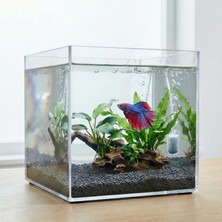 Meks Premium Kristal Küp Nano Akvaryum & Beta Fanusu 20X20X20 cm 7 Litre - Karides ve Balık Akvaryumu