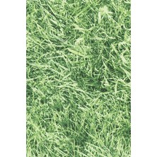 Meks Desenli Kendiliginden Yapışkanlı Kaplama Folyosu 45 cm x 5 mt EFL617