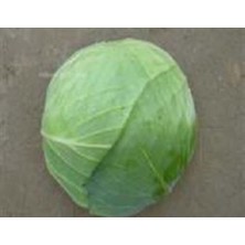 Meks Beyaz Lahana Tohumu - Aksel 10 gr