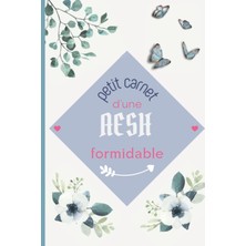Meks Petit Carnet D'une Aesh Formidable: Cahier De Notes Ligné À Offrir (French Edition)