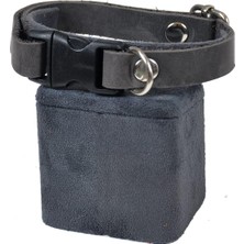 Meks X-Perk Köpek Boyun Tasması, Deri, Tokalı, Tasma Ayarlanabilir, 1 cm x 33 Cm, Tüm Çeşitler