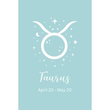 Meks Taurus Journal