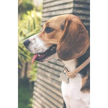 Meks Cute Beagle Dog Graph Paper