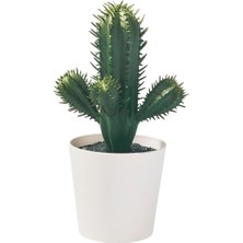 Meks Yapay Bitki, Yeşil, 6 Cm, Kaktüs, Iç/dış Mekan