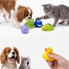 Meks Kanji 5’li Sesli Evcil Hayvan Oyuncak Seti – Kedi & Küçük Irk Köpekler Için Suda Yüzen Hafif Oyun O