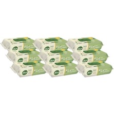 Meks Sleepy Islak Havlu Mendil Doğal Organik Pamuklu 50 Yaprak Plastik Kapaklı (9 Lu Set)