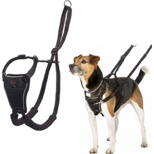 Meks Company Of Animals Halti Köpek Çekme Önleyici Göğüs Tasması, Küçük Boy