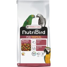Meks Versele-Laga Nutribird P19 Tropical Papağan Pelet Yem 10KG, 810-422132
