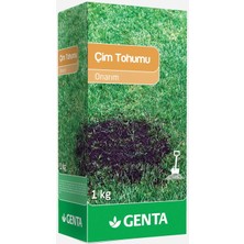 Meks Genta Onarım Çim Tohumu 1 kg