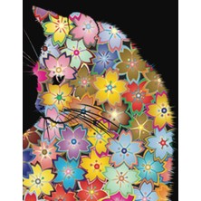 Mey İthalat Artistic Inspiration: Sketchbook For Creative Minds - Blank Paper Pad 8.5" x 11" - 110 Pages Of Pure Possibility - Perfect For Sketching, Painting, ... - Large Unlined Journal - Softcover Notebook