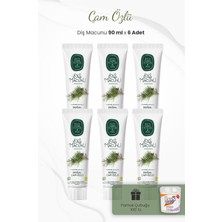 Meks Eyüp Sabri Tuncer Çam Özlü Diş Macunu 90 ml x 4 Adet ve Kulak Çubuğu