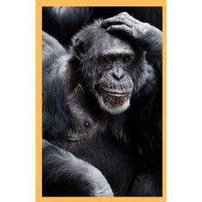 Meks Monkey Daily Journal