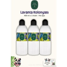 Meks Eyüp Sabri Tuncer Lavanta Kolonyası 3ADET Silindir Pet Şişe 400 ml ve Rosie Pamuk