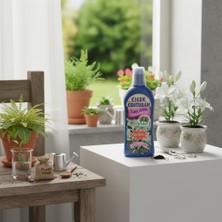 Meks Çiçek Coşturan Genel Bitki Besini - Tüm Çiçekli ve Çiçekiz Süs Bitkileri Için Sıvı Gübre - 600 ml (