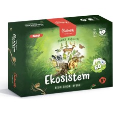 Meks Ekosistem Kart Oyunu: Besin Zinciri Oyunu