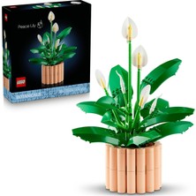 Meks LEGO Botanicals Barış Çiçeği 11504 - Yetişkin Kadınlar ve Erkekler Için Farklı Aşamalarda 6 Barış Ç