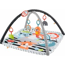 Meks Fisher Price Neşeli Hayvanlar 3'ü 1 Arada Jimnastik Merkezi HBP41 Renkli 0+