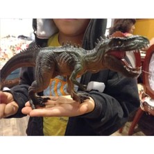 Meks T-Rex Süper Gerçekçi Dinazor Trex Figür 30 cm Kapanıp Açılabilen Ağız Hediye Oyuncak Dinozor, Çok R