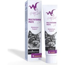 Meks Multivitamin Cat Paste 100 gr (Kediler Için Multivitamin Macunu)