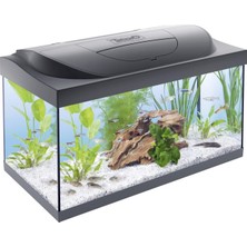 Meks Tetra Starter Line 54 L Akvaryum Komple Set – Gündüz ve Gece Lambası LED Aydınlatma, Iç Filtre, Isı