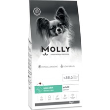 Meks Molly Hypoallergenic Derma Care Küçük Irk Somonlu Yetişkin Köpek Maması 2 kg