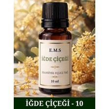 E.M.S İĞDE ÇİÇEĞİ Esansiyel Uçucu Yağ Buhurdanlık Yağı Difüzör Esansı Oda Kokusu Esansı MUM ESANSI 10 ML.