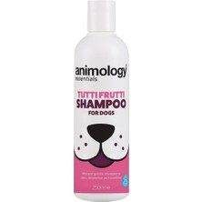 Meks Animology Essentials Dapper Dog Shampoo Köpek Şampuanı 250 ml