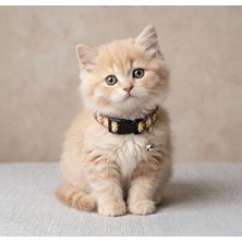 Mey İthalat Tatucha Premium Galaxy Harmony Kedi Boyun Tasması, Kahverengi, 11 x 35 Cm, Özel Koleksiyon