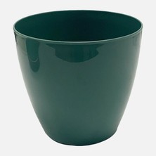 Üçsan Begonya Tekerlekli Saksı Yeşil (6'li Paket)