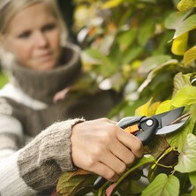 Fiskars 111260 Single Step Budama Makası (3'li Paket)