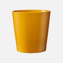 Soendgen Dallas Breeze Saksı Sarı 24 cm (3'li Paket)