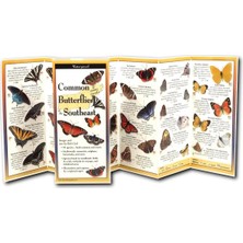 Valor Common Butterflies Of The Southeast (Foldingguides)