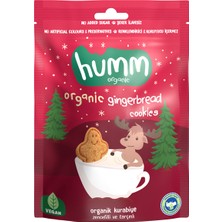 Humm Organic Zencefilli Tarçınlı Vegan Kurabiye 55 G (8'li Paket)
