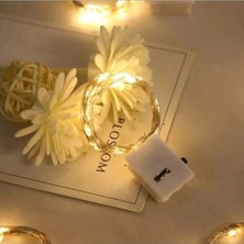 Fırsatkolik Mey Ithalat® 2m Pilli Peri LED Rgb