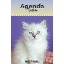 Valor Agenda Scolaire 2021 2022: Agenda Scolaire Chat Mignon | Pour Étudiants Collège - Lycée - Ado | Fil