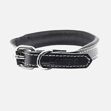 Zampa Köpek Boyun Tasması Siyah 54 cm (6'li Paket)