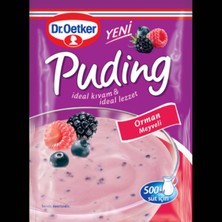 Bezos Orman Meyveli Puding 81GR