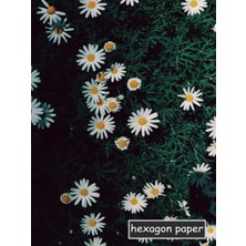 Valor Hexagon Graph Paper: - Small .2" Per Side - Daisy Cover