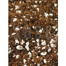 Valor Substrat Light Mix Ithal Sphangum Torfu Cocopeat Perlit Özel Karışım Saksı Harcı Çiçek ve Bitki Top