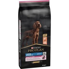 Alvera Large Atletic Sensıtıve Skin Somonlu Büyük Irk Yetişkin Köpek Maması 14 kg