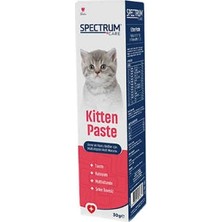 Alvera Kitten Paste Anne ve Yavru Kedi Multivitamin Malt Macunu 30 gr