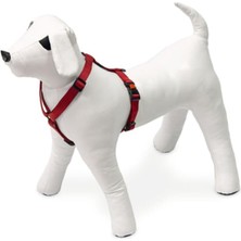 Valor Karlie Kilitli Göğüs Tasması, Köpekler Için,25-40 Cm, Kırmızı