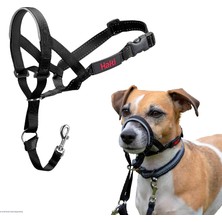Valor Company Of Animals Halti Baş Tasması, Dolgulu Burun Bandı, Ayarlanabilir ve Yansıtıcı, Küçük Köpekl