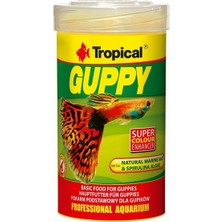 Valor Tropical Guppy 100ML 20GR Lepistes Için Pul Yem