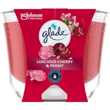 Valor Glade Meyve Çiçek Buketi Büyük Mum 204 G