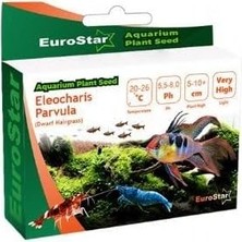 Valor Eurostar Bitki Tohumu Eleocharis Parvula