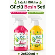 Plant-Home Bitki Besin Seti Çiçekli Bitki ve Kaktüs Besini Sprey Seti 2 x 500 ml