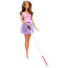 Mey İthalat Barbie Fashionistas Oyuncak Bebek, Pembe Üstlü, Kör Barbie Bebek, Fırfırlı Etek, Kör Çubuk ve Güneş Gözlüğü, "american Foundation For The Blind" ile Ortaklaşa Geliştirilmiştir, HRH17